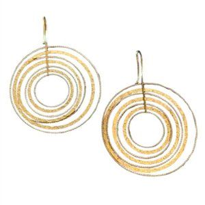 Chic Gold and Silver Circle Earrings